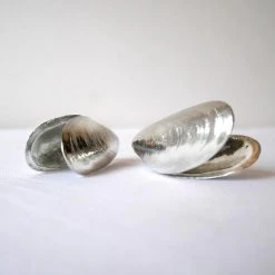 Het Zeeuws Mosselbestek 30 Het Zeeuws Mosselbestek -Keukenbenodigdheden Winkel 1200x1200 871