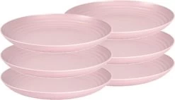 Set Van 6x Stuks Rond Kunststof Borden Oud Roze 25 Cm - Herbruikbaar - Dinerbord - Barbecuebord - Campingbord
