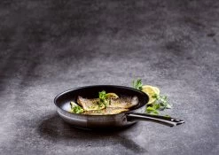 BK Allround Koekenpan Ø 24 Cm - Inductie - PFAS-vrij -Keukenbenodigdheden Winkel 1200x851 2