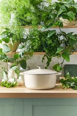 Tefal LOV Braadpan - 5L - Ø25 Cm - Beige -Keukenbenodigdheden Winkel 800x1200 7