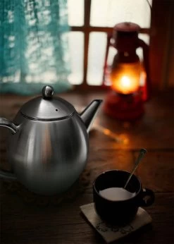 Vaja Valerie - Theepot Met Filter - Dubbelwandig - RVS - 1.2L -Keukenbenodigdheden Winkel 857x1200 1